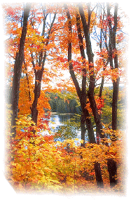 See larger image