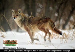 See larger image