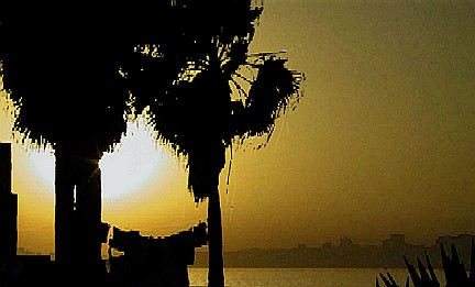 See larger image