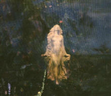 Poem Image