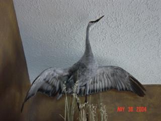 Poem Artwork