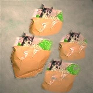 Poem Artwork