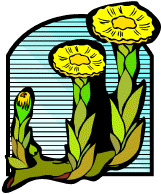 Poem Image