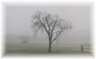 Poem Image