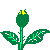 Poem Image