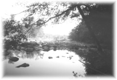 Poem Image