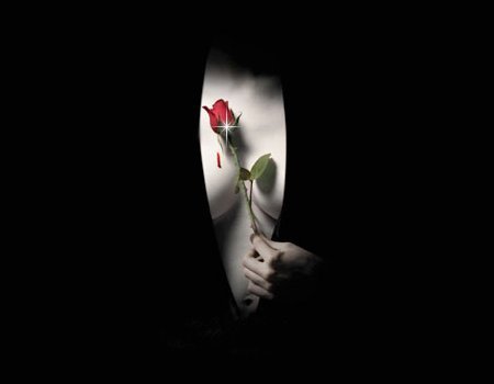 Poem Image