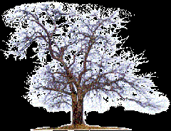 Poem Image