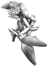 Poem Image