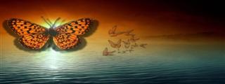 Poem Image