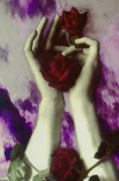 Poem Image