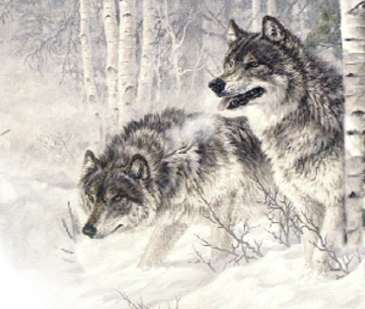 Poem Image