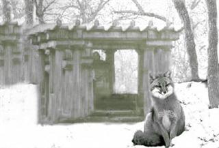 Poem Artwork