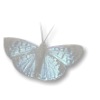 Poem Image