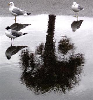 Poem Artwork