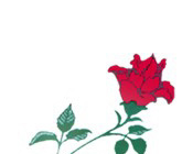 Poem Artwork
