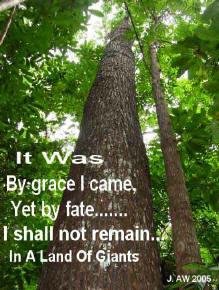 Poem Artwork