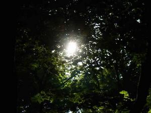 Poem Image