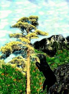 Poem Artwork