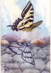 Poem Artwork