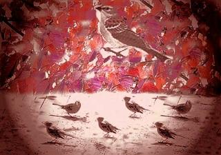 Poem Artwork