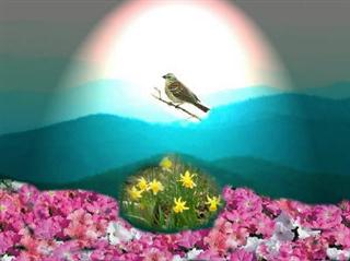 Poem Artwork