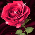 Poem Image