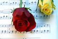 Poem Artwork