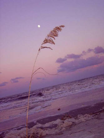 Poem Artwork