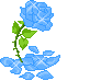 Poem Image