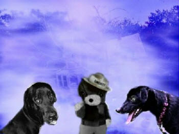 Poem Artwork