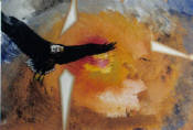 Poem Image