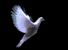 Poem Image