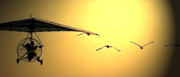 Poem Artwork