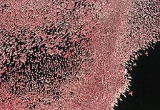 Poem Artwork