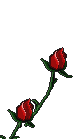 Poem Image