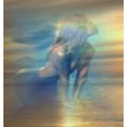 Poem Image