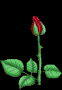 Poem Artwork