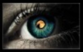 Poem Image
