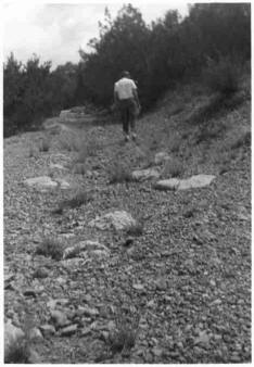 Poem Image