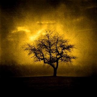 Poem Artwork