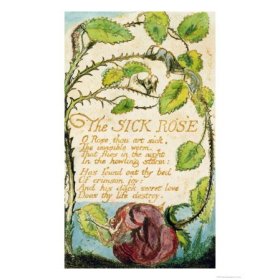 Poem Image