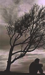Poem Image