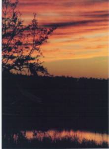 Poem Image