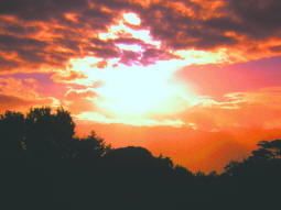 Poem Image