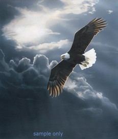 Poem Image