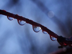Poem Image