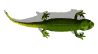 Poem Image
