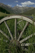 Poem Image
