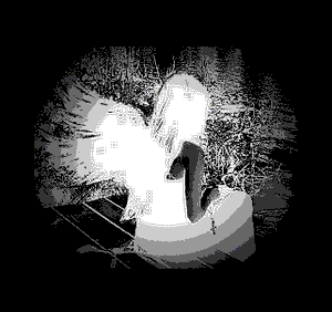 Poem Image